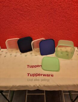 Tupperware Behälter Dosen - Büdingen