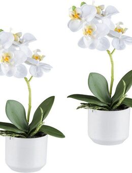 Kunstorchidee Orchidee Phalaenopsis, Creativ green, Höhe 27 cm, mit real-touch-Blüten
