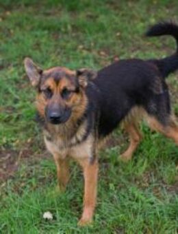 JÖRDI - ich mag mich gern frei bewegen - Overath