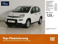 Fiat Panda, 1.0 GSE Hybrid, Jahr 2024 - Pilsach