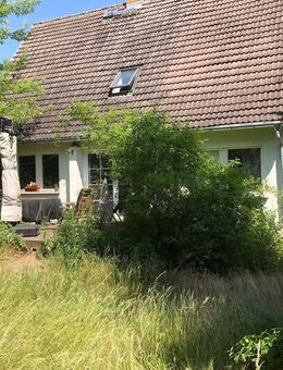 Freistehendes Einfamilienhaus in idyllischer Waldrandlage von Werder - Werder (Havel)