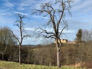 3,5 Zi.-Wohnung mit Terrasse und TG-Stellplatz in Traumlage von Ellwangen (Nr.2) - Ellwangen (Jagst)