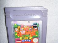Nintendo Game Boy Spiel: Kirby‘s Black Ball - Weißwasser (Oberlausitz)