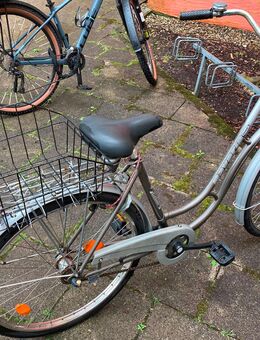 Stadtfahrrad Bavaria Line Lizzard für Damen, Nabenschaltung, Beleuchtung, Korb - München Hadern