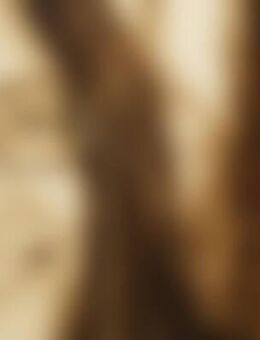 Rhö*** - Schlüchtern