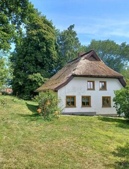 ??Seltene Gelegenheit auf Hiddensee?? - Insel Hiddensee