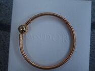 pandora armband vergoldet silber 925 Armreif - Gimbweiler