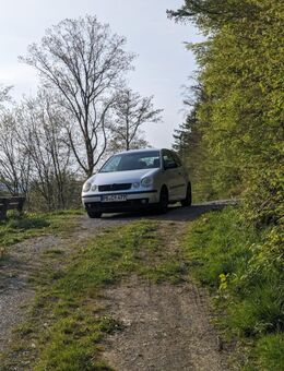 VW POLO n9 - Meschede (Kreis- und Hochschulstadt)