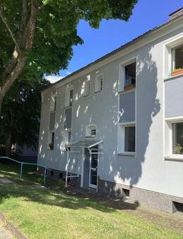 Komm ins grüne Fischlaken, teilrenovierte 3 Zimmer K,D,B - Essen