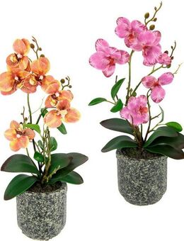 Kunstpflanze Orchidee, I.GE.A., Höhe 38 cm, Mit Blättern und Luftwurzeln, im Topf aus Keramik, 2er Set