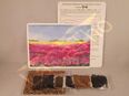 Set Farbenreiches Bienenparadies Blumen Insekten Hummel Bienen Blühfarben seed rot lila blau rosa gelb weiß bunt insektenfreundliches Saatgut flower seeds garden Geschenk Blumenwiese in 74629