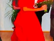 Kleid Größe 36 - Wesseling Zentrum