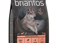 Briantos Adult Light Sterilised Pute & Kartoffel - GETREIDEFREIE Rezeptur - 1 kg