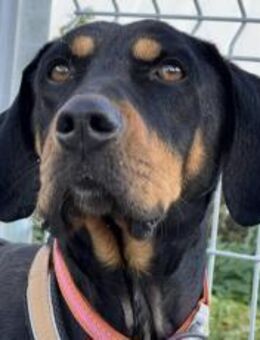 Baki wartet auf seine Familie - München