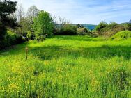 **Vorteilhaftes Grundstück in Bad Münstereifel mit viel Potenzial** - Bad Münstereifel