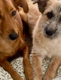 Ylwie ist ein echter Hauptgewinn - München