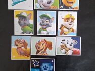 10 Stück Sticker Aldi Mission Sammelspass Paw Patrol Aufkleber - Essen