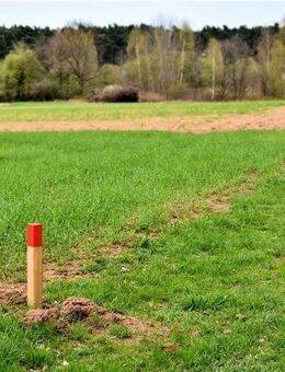 Land- / Forstwirtschaft in 85137 Walting - Walting