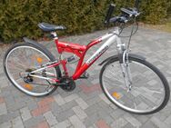 28 Zoll MTB - Müden (Aller)