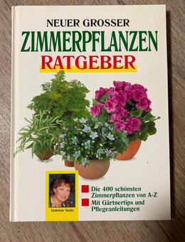 Zimmerpflanzen Ratgeber - Greifswald