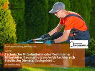 Technische Mitarbeiterin oder Technischer Mitarbeiter Baumschutz (m/w/d) Fachbereich Städtische Dienste, Sachgebiet Baumschutz - Weißenfels
