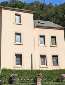 Einfamilienhaus für große Familie oder Mehrgenerationenhaus mit 3 Wohnungen, leerstehend, naturnahes Wohnen im Plauenschen Grund - Dresden