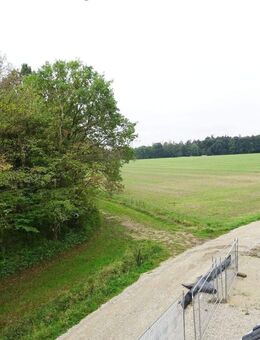 TRAUMHAFTE NEUE LICHTDURCHFLUTETE DACHGESCHOSSWOHNUNG MIT SONNIGER LOGGIA UND BLICK INS GRÜNE - Erlangen