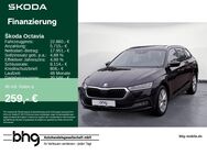 Skoda Octavia, 2.0 TDI Combi Style, Jahr 2021 - Freiburg (Breisgau)