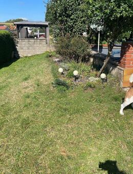 Gepflegtes Einfamilienhaus mit viel Platz und schönem Garten - Gedern
