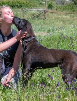 Jack sucht Familienanschluss - Brunstorf