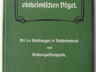 Unsere einheimischen Vögel, lithographierte Tafeln, Ornithologie - Königsbach-Stein