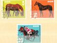 DDR Briefmarken Pferde (426) in 20095