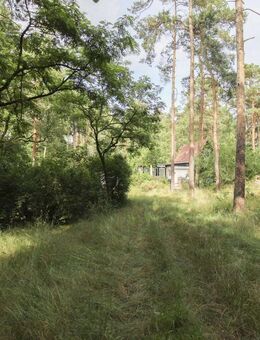 Familienglück in Heidesee: Über 2.000 m² Bauland mit Ferienhaus in Heidesee (bereits geteilt!) - Heidesee