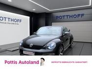 VW Beetle, 1.2 TSI Cabriolet Exclusive DesignPDC Winter, Jahr 2018 - Hamm