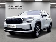 Skoda Kodiaq, 2.0 TDI Selection, Jahr 2024 - Schlüchtern