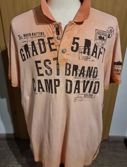 Camp David Polo Shirt lachs in Größe XXXL - Verden (Aller)