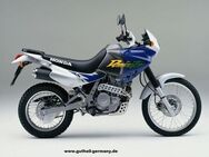 Honda NX 650 Dominator Verschleissteile +Ersatzteile Direktimport - Eschershausen