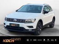 VW Tiguan, 2.0 TDI IQ DRIVE, Jahr 2019 - Ellwangen (Jagst)