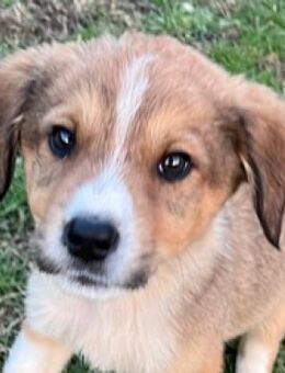 Asos - 6 junge Leben wurden gerettet - Mettmann