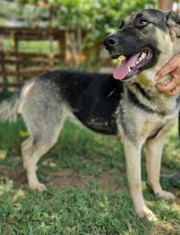 Freundliche, gelassene Claire - Mettmann