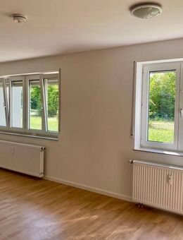 1-Zimmer-Wohnung mit Einbauküche und Duschbad - Frankfurt (Main)