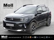 Citroën C5, Aircross 130 Shine Pack, Jahr 2023 - Köln