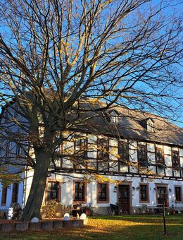 Freuen Sie sich auf die Nutzung als EFH, MFH oder Generationenhaus! - Seelitz