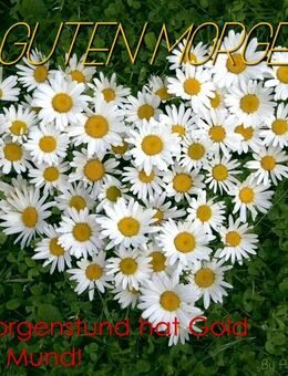 Suche ehrlichen Mann - Görlitz