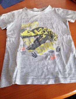 Graues Shirt mit Aufdruck Dino - Gr. 104 - Blue Seven - Pirmasens