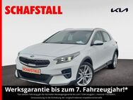 Kia - Bergheim (Nordrhein-Westfalen)