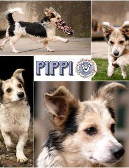 PIPPI * fröhliche freundlich Prinzessin - Duisburg