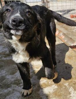 TAIJITU - wunderschön, voller Hoffnung - Weilheim (Oberbayern)