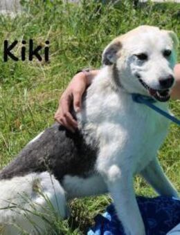 Kiki Der perfekte Kumpel... - Kissing