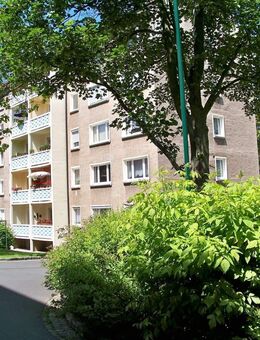 Gemütliche 3-Zimmer-Wohnung mit Balkon im Dachgeschoss - Nossen